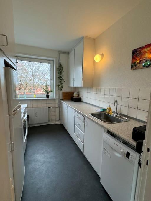 Stor Og Lys Lejlighed I Hjertet Af Holstebro Dış mekan fotoğraf