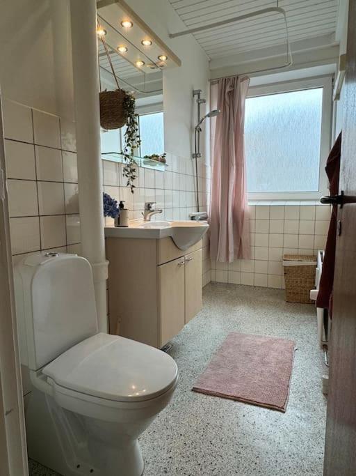 Stor Og Lys Lejlighed I Hjertet Af Holstebro Dış mekan fotoğraf